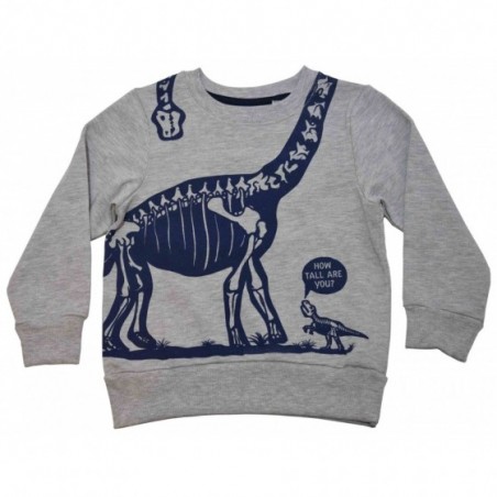 Детска блуза за момче Dino