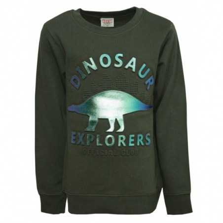Детска блуза за момче Dinosaur