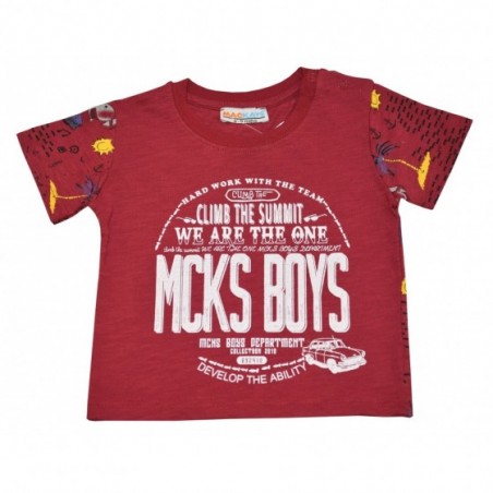 Бебешка тениска за момче Boys