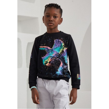 Детска блуза за момче Dino